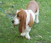TwoRivers2008 220